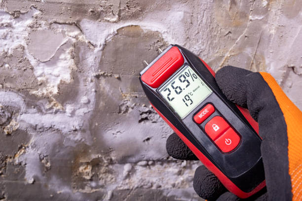 Best Attic Mold Removal  in Rio Grande, OH