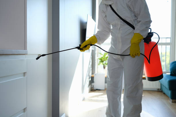 Best Certified Mold Removal  in Rio Grande, OH